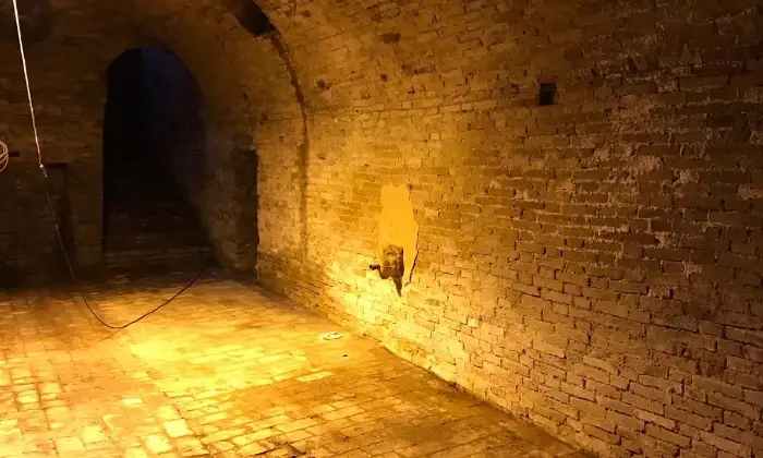 Rexer-Mondavio-PALAZZO-A-SANT-ANDREA-DI-SUASA-Cantina