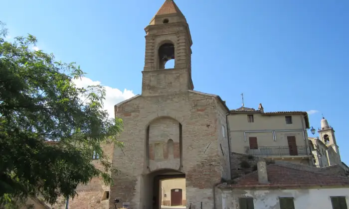 Rexer-Mondavio-PALAZZO-A-SANT-ANDREA-DI-SUASA-Giardino