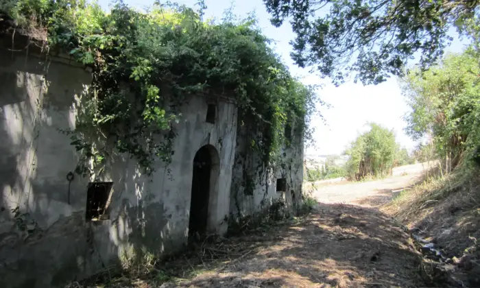 Rexer-Fermo-CASA-A-MADONNA-BRUNA-DI-FERMO-Terrazzo