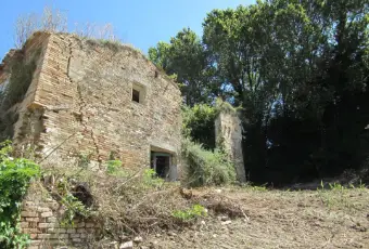 Rexer-Fermo-CASA-A-MADONNA-BRUNA-DI-FERMO-Giardino