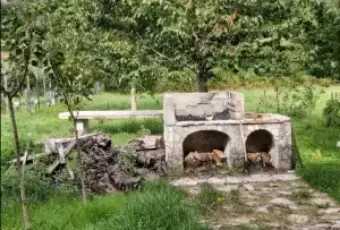 Rexer-Campotenese-Vendesi-casa-indipendente-ai-piedi-del-Parco-Nazionale-del-Pollino-Altro