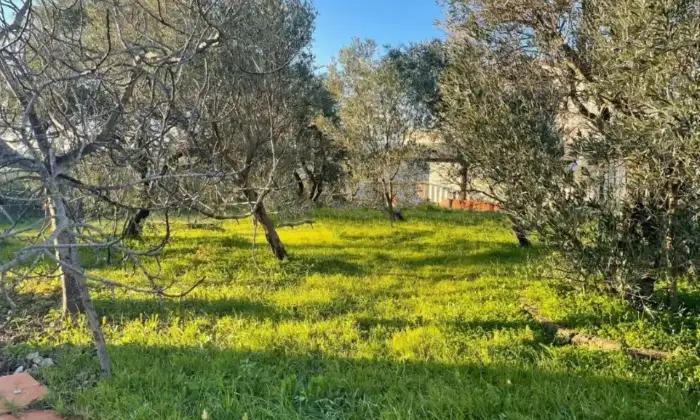 Rexer-Cleto-Vendesi-ampio-immobile-a-soli-minuti-dal-mare-a-Cleto-Altro