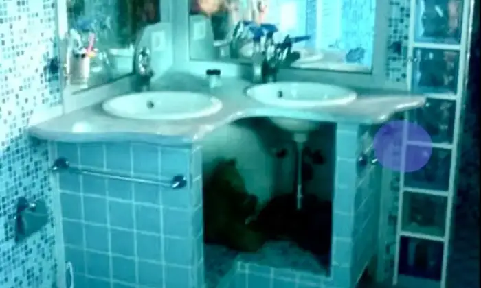 Rexer-Terralba-Casa-in-vendita-a-Terralba-Altro