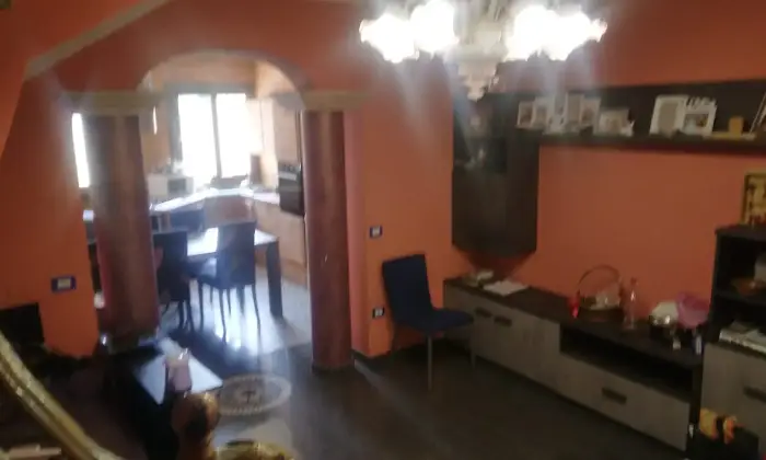 Rexer-Terralba-Casa-in-vendita-a-Terralba-Altro