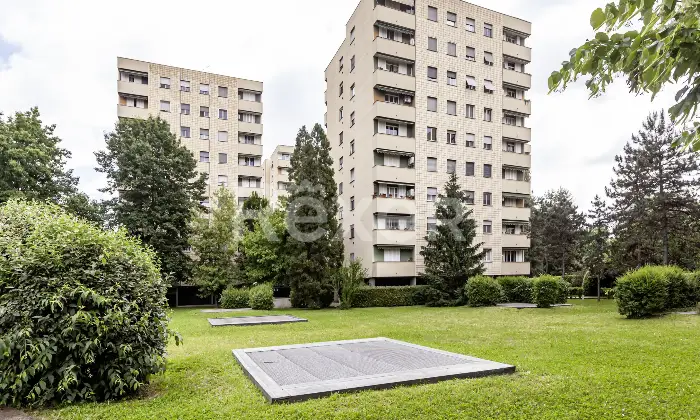Rexer-Milano-Bilocale-di-mq-in-ottimo-contesto-condominiale-Altro