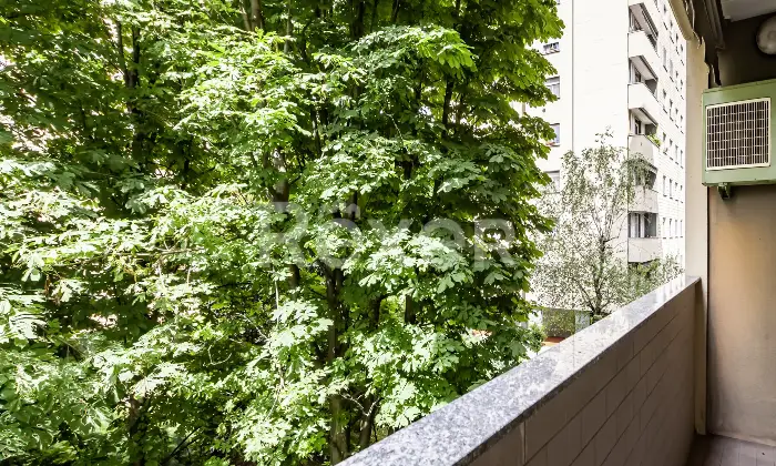 Rexer-Milano-Bilocale-di-mq-in-ottimo-contesto-condominiale-Altro