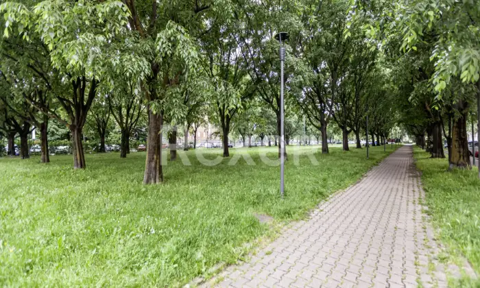 Rexer-Milano-Piazzale-Tripoli-Adze-Appartamento-di-locali-doppia-esposizione-balconi-e-ampio-solaio-Altro