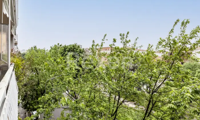 Rexer-Milano-Piazzale-Tripoli-Adze-Appartamento-di-locali-doppia-esposizione-balconi-e-ampio-solaio-Altro