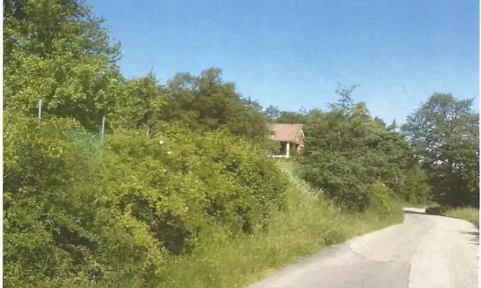 Rexer-Forenza-Vendesi-Villa-Singola-a-Maschito-PZ-Altro