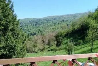 Rexer-Tramonti-di-Sotto-Vendesi-casa-indipendente-a-Tramonti-di-Sotto-PN-Altro