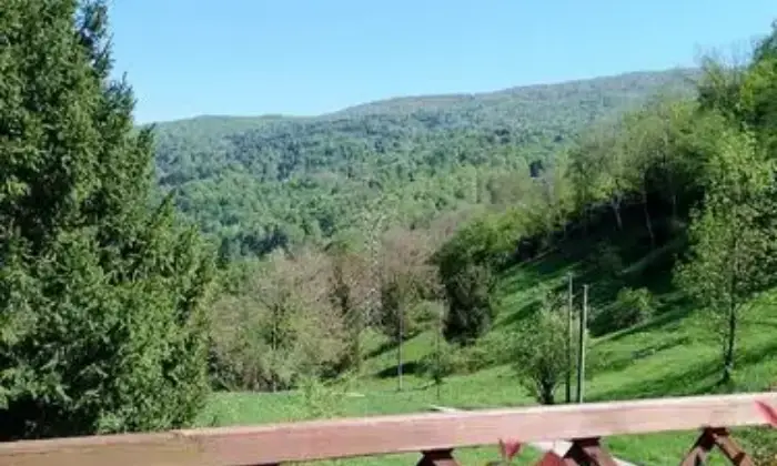 Rexer-Tramonti-di-Sotto-Vendesi-casa-indipendente-a-Tramonti-di-Sotto-PN-Altro