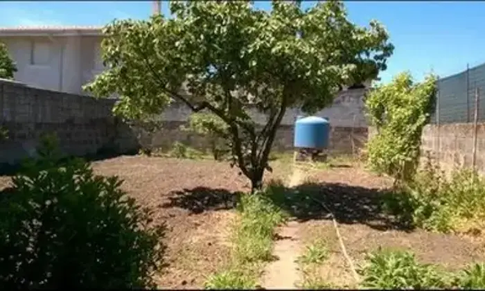 Rexer-Paulilatino-Vendesi-Appartamento-a-Paulilatino-OR-Centro-Sardegna-Altro