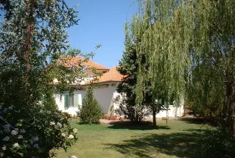 Rexer-Randazzo-Vendesi-Splendida-Villa-singola-a-Randazzo-CT-Altro
