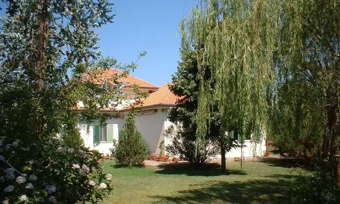 Rexer-Randazzo-Vendesi-Splendida-Villa-singola-a-Randazzo-CT-Altro
