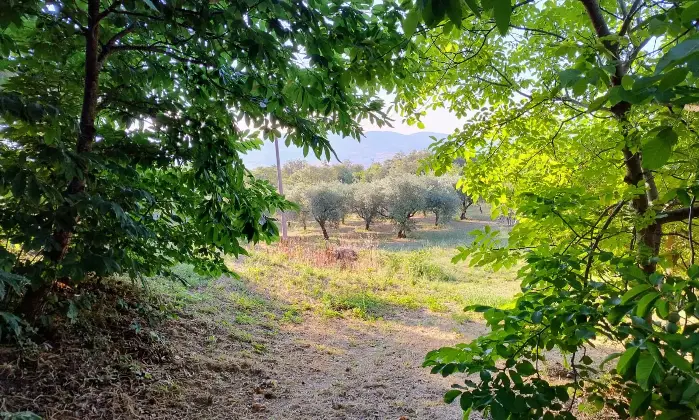 Rexer-Randazzo-Vendesi-Splendida-Villa-singola-a-Randazzo-CT-Altro