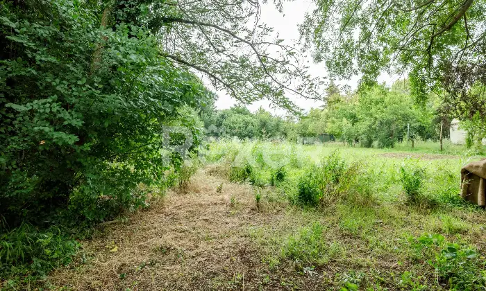 Rexer-Santa-Maria-di-Sala-Ampio-appartamento-con-scoperto-esclusivo-Altro