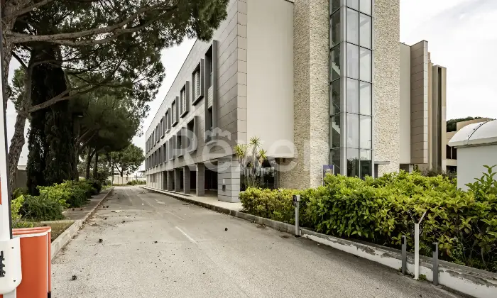 Rexer-Bari-Asset-Direzionale-con-Area-Strategica-Altro