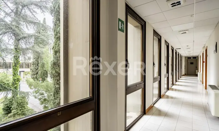 Rexer-Bari-Asset-Direzionale-con-Area-Strategica-Altro