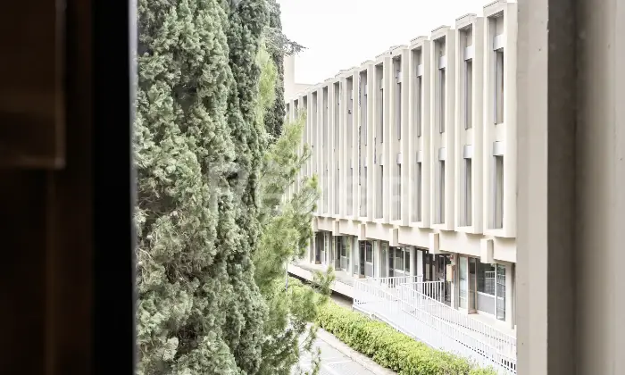 Rexer-Bari-Asset-Direzionale-con-Area-Strategica-Altro