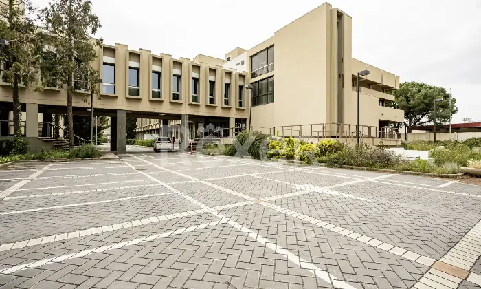 Rexer-Bari-Asset-Direzionale-con-Area-Strategica-Altro