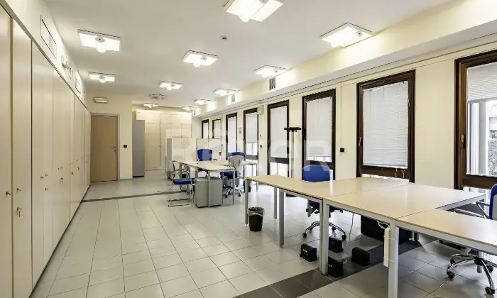 Rexer-Bari-Asset-Direzionale-con-Area-Strategica-Altro