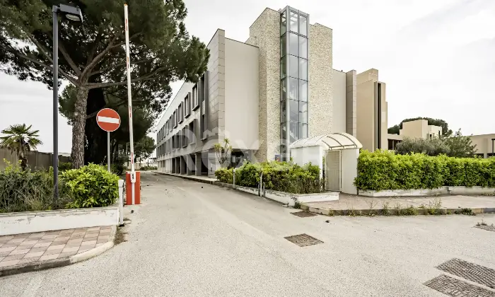 Rexer-Bari-Asset-Direzionale-con-Area-Strategica-Altro