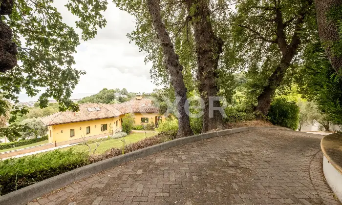 Rexer-Francavilla-al-Mare-Un-rifugio-esclusivo-a-Francavilla-al-Mare-Villa-con-piscina-charme-e-riservatezza-Altro