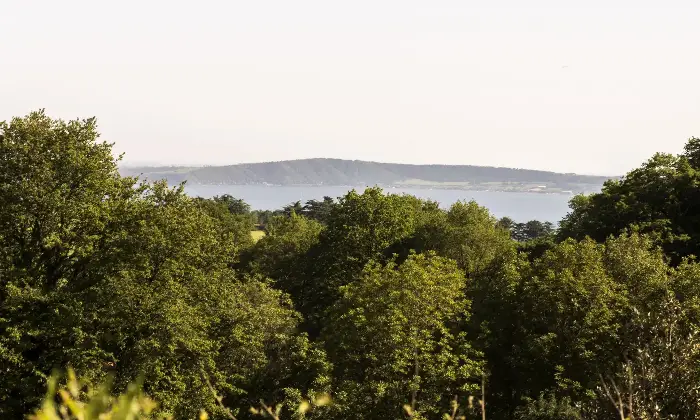 Rexer-Trevignano-Romano-Prestigiosa-villa-con-vista-sul-lago-di-Bracciano-Altro