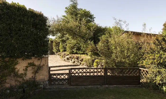 Rexer-Trevignano-Romano-Prestigiosa-villa-con-vista-sul-lago-di-Bracciano-Altro
