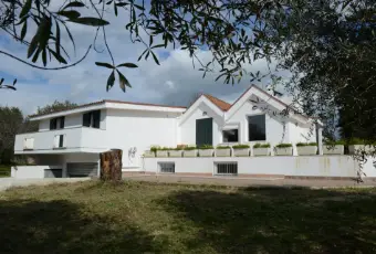 Rexer-Alghero-ALGHERO-VENDO-BELLISSIMA-VILLA-Giardino