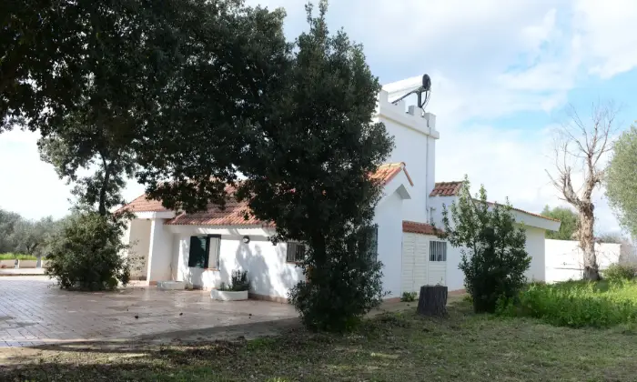 Rexer-Alghero-ALGHERO-VENDO-BELLISSIMA-VILLA-Giardino