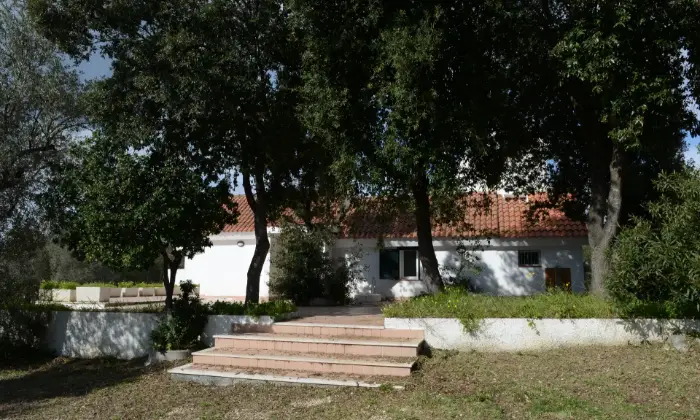 Rexer-Alghero-ALGHERO-VENDO-BELLISSIMA-VILLA-Giardino