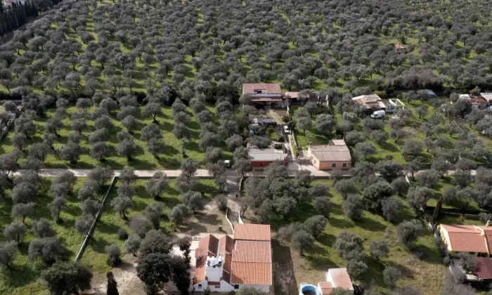 Rexer-Alghero-ALGHERO-VENDO-BELLISSIMA-VILLA-Terrazzo