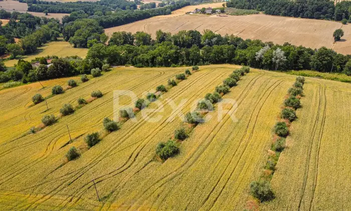 Rexer-Todi-CascinaCasale-in-vendita-a-Todi-Altro