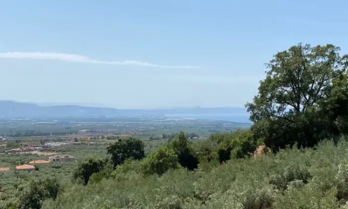Rexer-Lamezia-Terme-Vendesi-una-struttura-immersa-nel-verde-a-Lamezia-Terme-Altro