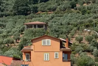 Rexer-Lamezia-Terme-Vendesi-una-struttura-immersa-nel-verde-a-Lamezia-Terme-Altro