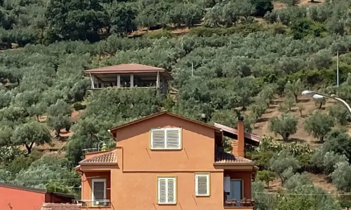 Rexer-Lamezia-Terme-Vendesi-una-struttura-immersa-nel-verde-a-Lamezia-Terme-Altro