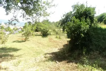 Rexer-Chiaravalle-Centrale-Vendesi-ampio-immobile-sulle-colline-joniche-calabresi-a-Chiaravalle-Centrale-Altro