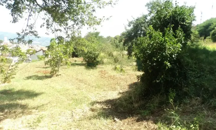 Rexer-Chiaravalle-Centrale-Vendesi-ampio-immobile-sulle-colline-joniche-calabresi-a-Chiaravalle-Centrale-Altro