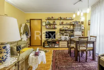 Rexer-Roma-Acilia-Trilocale-ottimo-stato-gi-affrancato-Altro