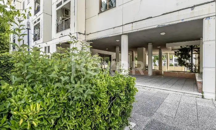 Rexer-Roma-Acilia-Trilocale-ottimo-stato-gi-affrancato-Altro