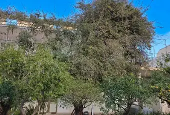 Rexer-Trapani-Vendesi-Ampio-appartamento-con-terrazza-privata-veranda-e-giardino-a-Trapani-TP-Altro