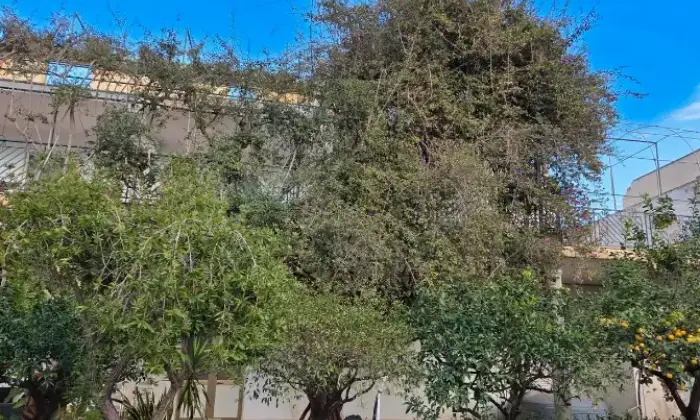 Rexer-Trapani-Vendesi-Ampio-appartamento-con-terrazza-privata-veranda-e-giardino-a-Trapani-TP-Altro