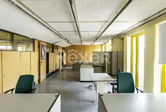 Rexer-Piediripa-Filiale-Bancaria-in-vendita-a-Macerata-Altro