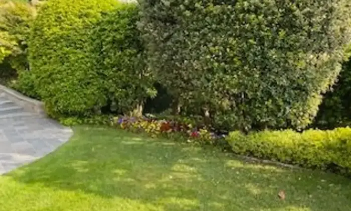 Rexer-Lucino-Vendesi-una-villa-tenuta-con-grande-cura-a-Montano-Lucino-Altro
