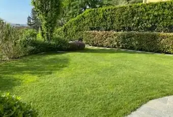 Rexer-Lucino-Vendesi-una-villa-tenuta-con-grande-cura-a-Montano-Lucino-Altro