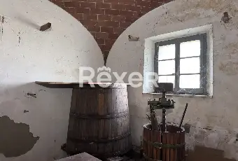 Rexer-Rapolano-Terme-Appartamento-in-casale-Cantina