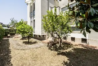 Rexer-Pietramelara-Ampia-propriet-antisismica-con-giardino-terrazzo-e-locali-accessori-Pietramelara-CE-Altro