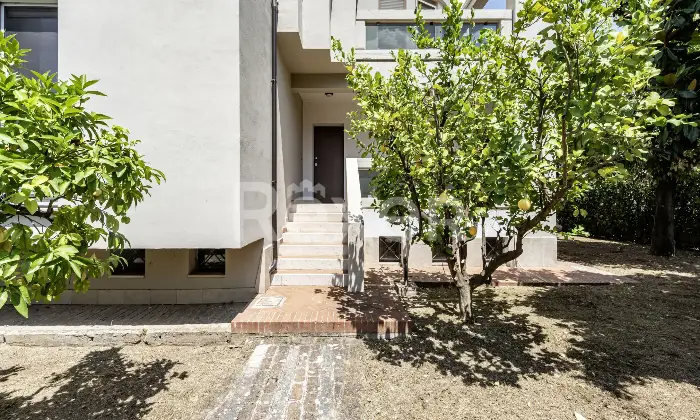 Rexer-Pietramelara-Ampia-propriet-antisismica-con-giardino-terrazzo-e-locali-accessori-Pietramelara-CE-Altro