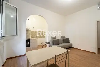 Rexer-Milano-Trilocale-doppi-servizi-ristrutturato-a-nuovo-Altro